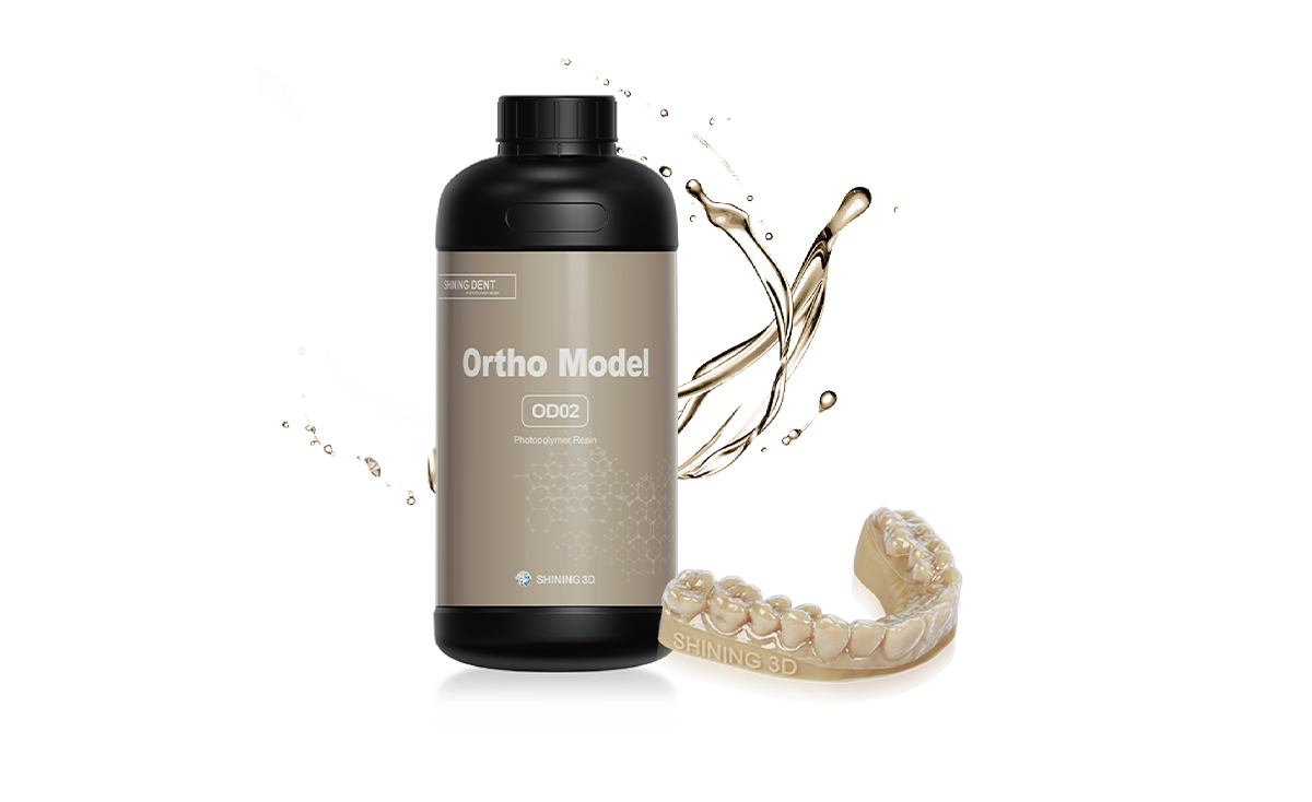 Dental Resin Orthodontic model