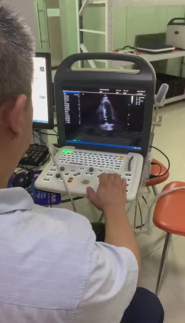 Color doppler ecograph BLS X1  with cardiac probe